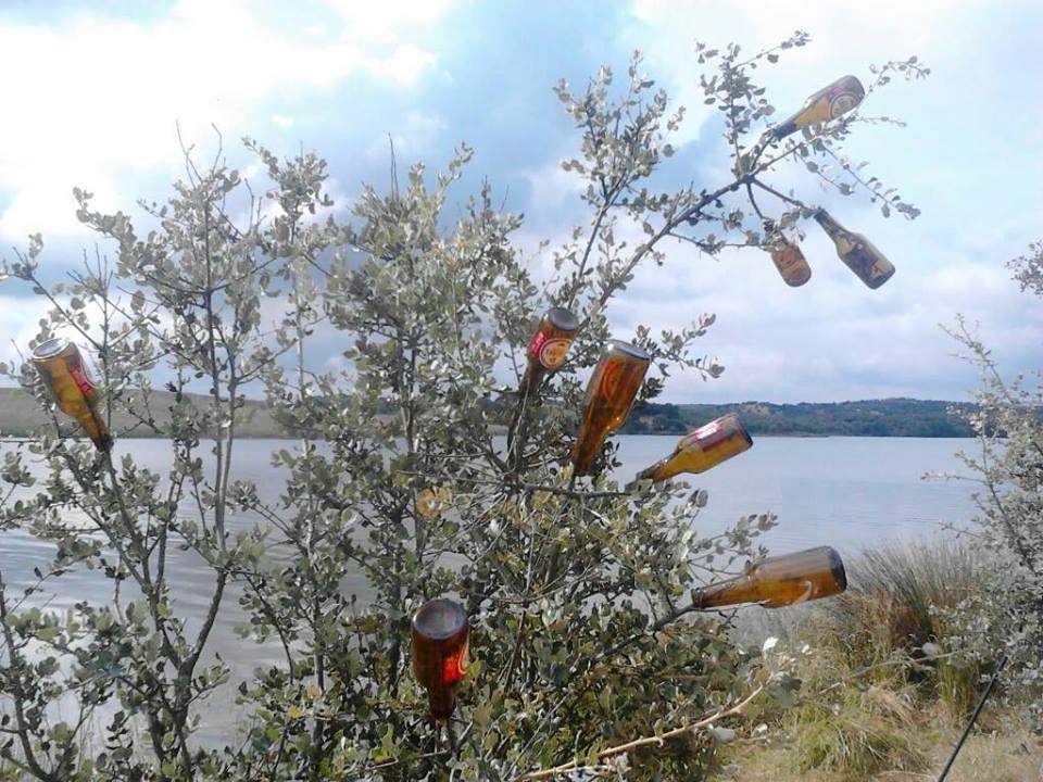 haioase - 995683617262428284277468658627n.jpg